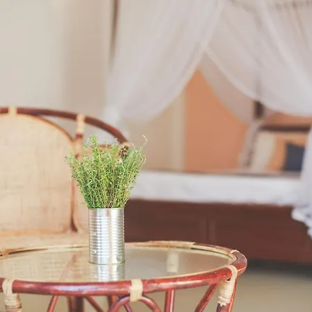 Rise - Bed & Breakfast Weligama Exterior photo
